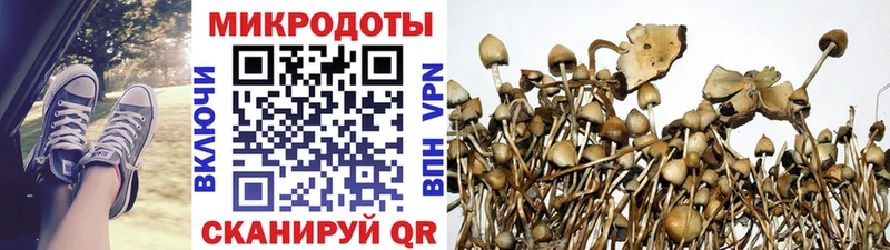 ссылка на мегу зеркало Арсеньев Псилоцибиновые грибы GOLDEN TEACHER хочу