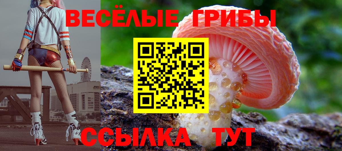 Псилоцибиновые грибы мицелий  Вход с VPN  Арсеньев  Галлюциногенные грибы Psilocybine cubensis 