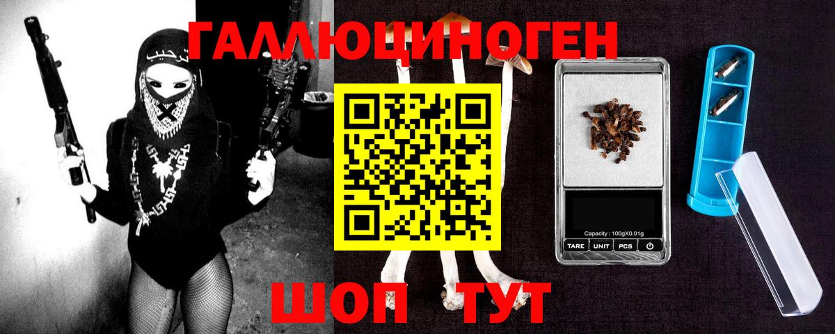 Псилоцибиновые грибы Psilocybine cubensis Арсеньев